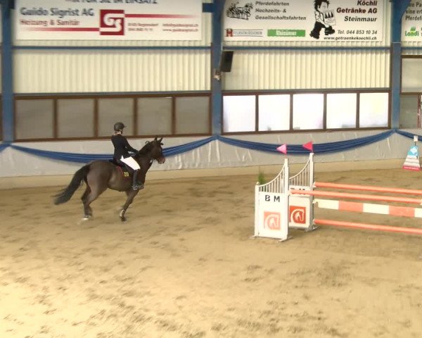 Reitturnier Buchs 2022