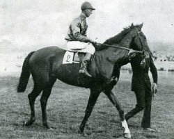 stallion Blue Skies xx (Thoroughbred, 1927, from Blandford xx)