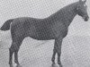 stallion Lord 1933 (Holsteiner, 1897, from Ethelbert)