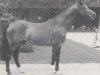 stallion Liberal (Holsteiner, 1985, from Lacapo)