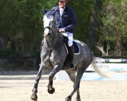 jumper Levinjo 5 (Hanoverian, 2007, from Likoto xx)