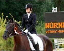 dressage horse Dark Carlotta 2 (Württemberger, 2007, from Don Frederico)