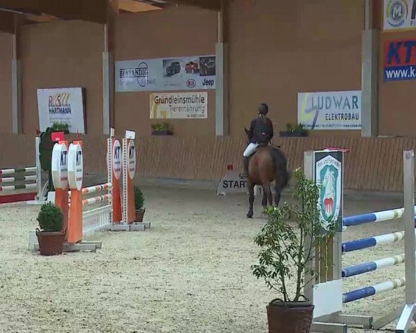 Reitturnier Grafenrheinfeld/Ufr. 2022