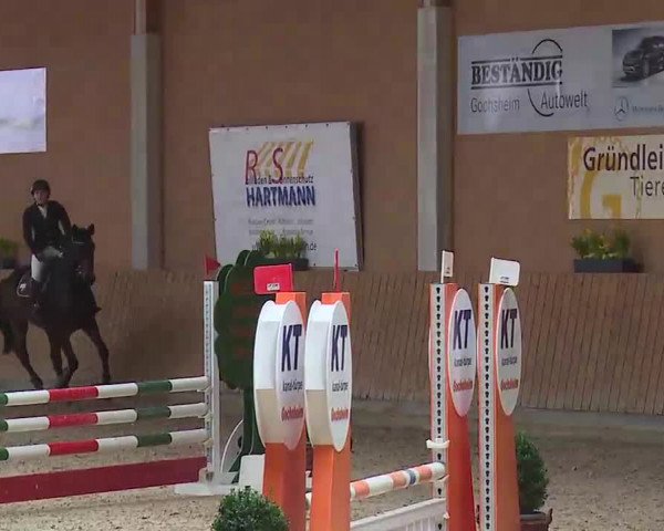 Reitturnier Grafenrheinfeld/Ufr. 2022