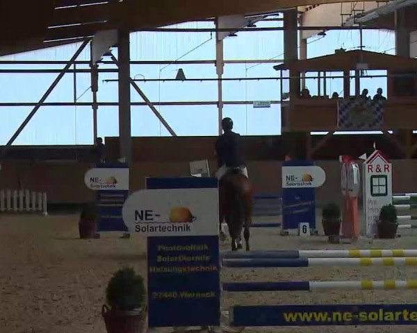 Reitturnier Grafenrheinfeld/Ufr. 2022
