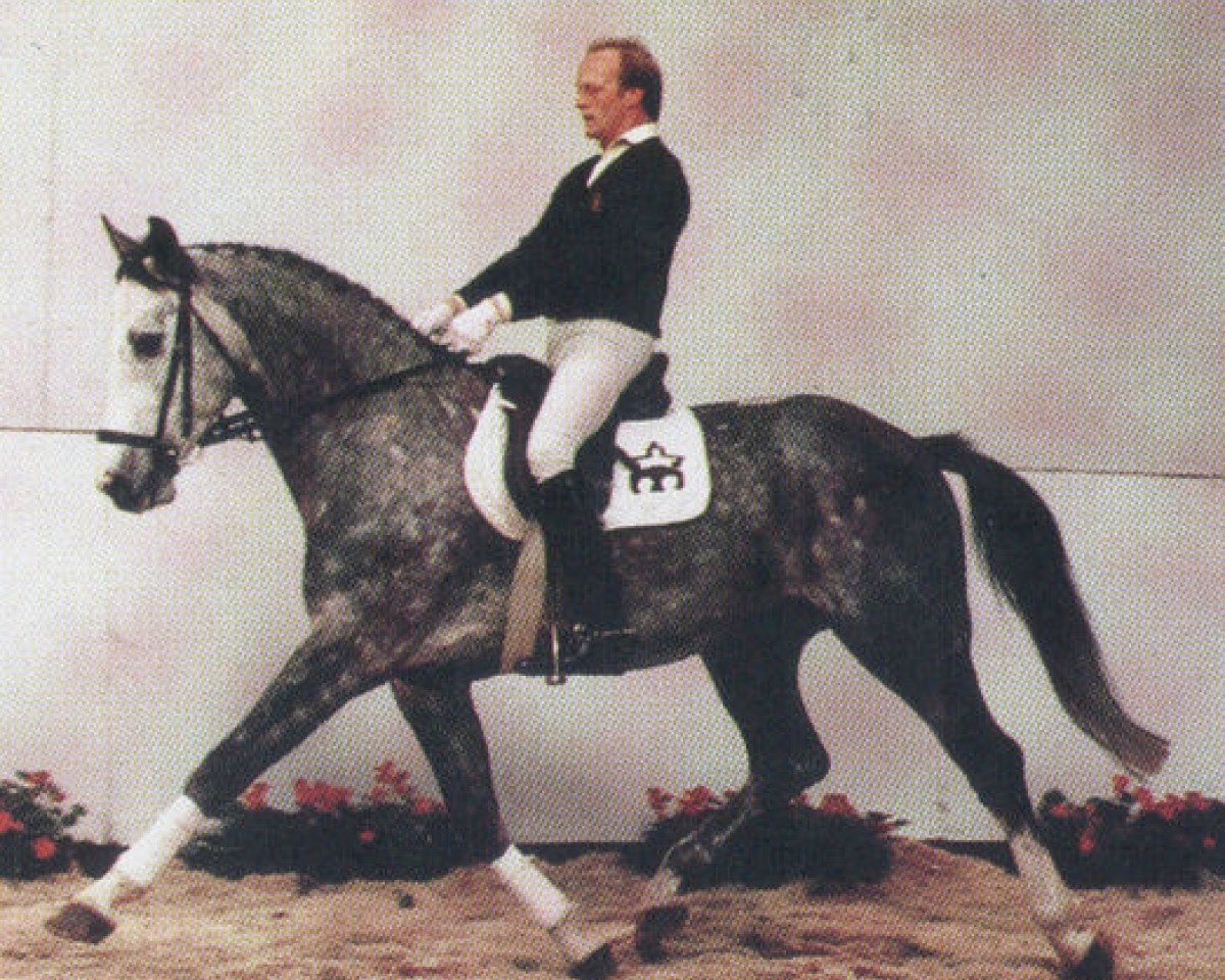 Deckhengst Weinheim (Hannoveraner, 1983, von Wagner)
