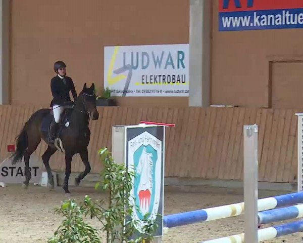 Reitturnier Grafenrheinfeld/Ufr. 2022