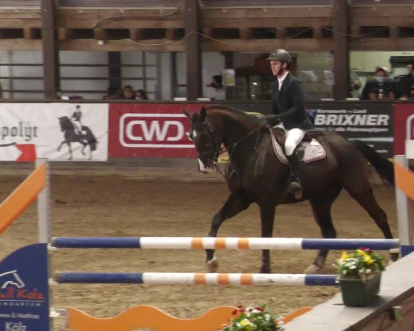 Reitturnier Heilbronn 2022
