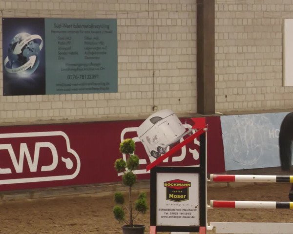 Reitturnier Heilbronn 2022
