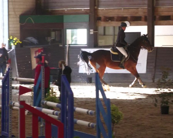 Reitturnier Heilbronn 2022