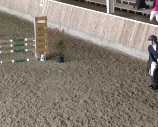 Reitturnier Köngen 2022