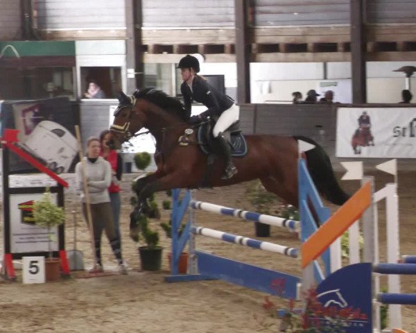 Reitturnier Heilbronn 2022