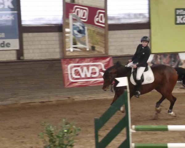 Reitturnier Heilbronn 2022