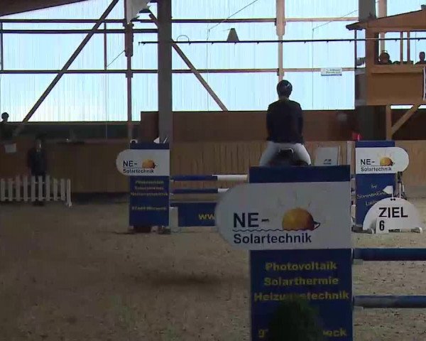 Reitturnier Grafenrheinfeld/Ufr. 2022