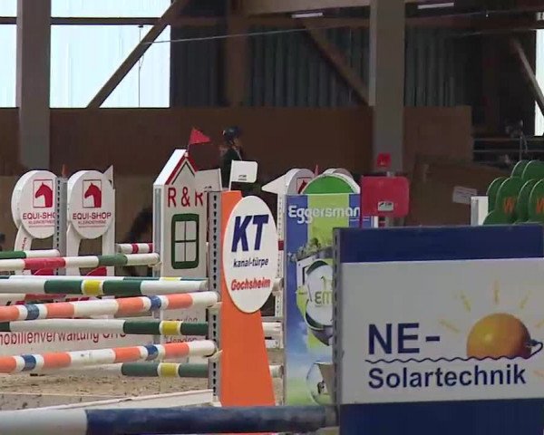 Reitturnier Grafenrheinfeld/Ufr. 2022