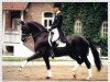 stallion Dream of Glory (Oldenburg, 1989, from Donnerhall)