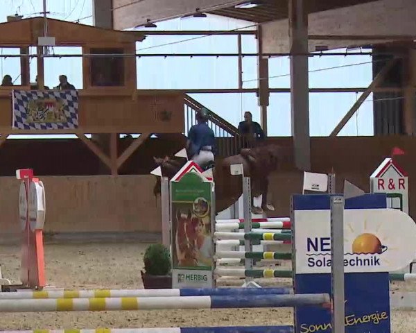 Reitturnier Grafenrheinfeld/Ufr. 2022