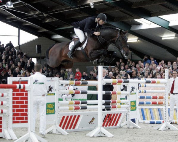 stallion Douglas (KWPN (Royal Dutch Sporthorse),  , from Darco)