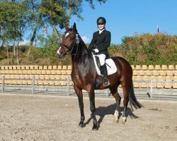 dressage horse Rhapsodie 186 (Sachse, 2000, from Rosier)