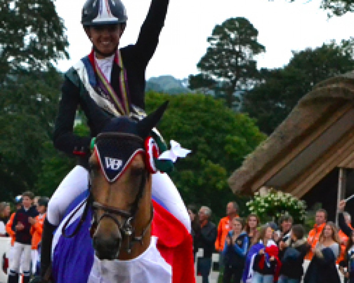 stallion Rominet de Bruz (French Pony, 2005, from Rasmus)