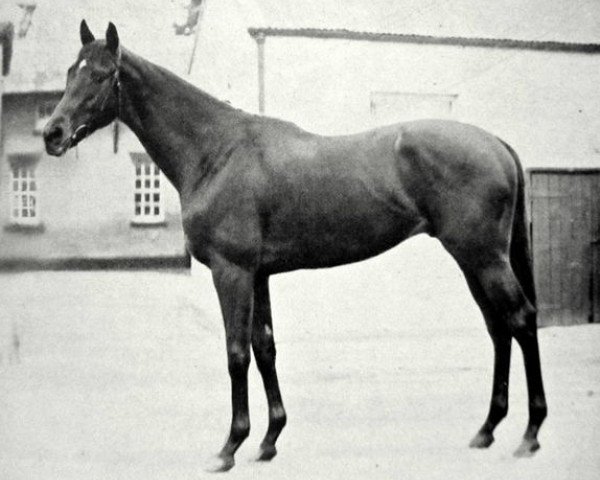 stallion Windsor Slipper xx (Thoroughbred, 1939, from Windsor Lad xx)