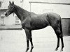stallion Windsor Slipper xx (Thoroughbred, 1939, from Windsor Lad xx)