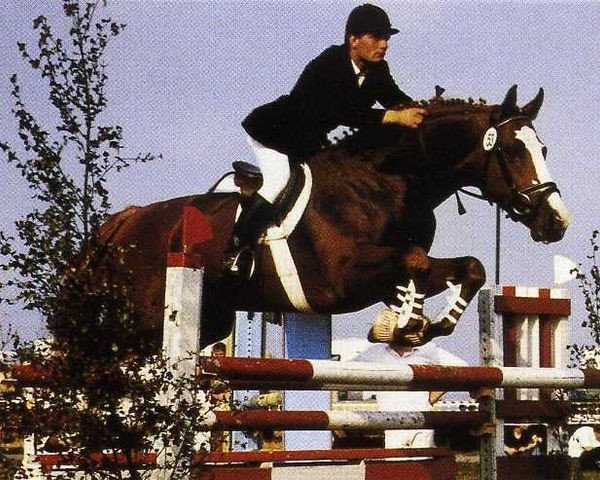 stallion Fundament (Oldenburg, 1985, from Figaro)