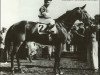 broodmare Imperatrice xx (Thoroughbred, 1938, from Caruso xx)