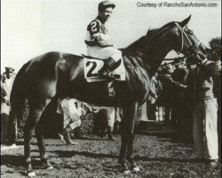 broodmare Imperatrice xx (Thoroughbred, 1938, from Caruso xx)