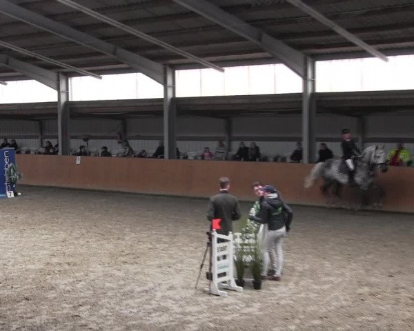 Reitturnier Schlieckau 2022