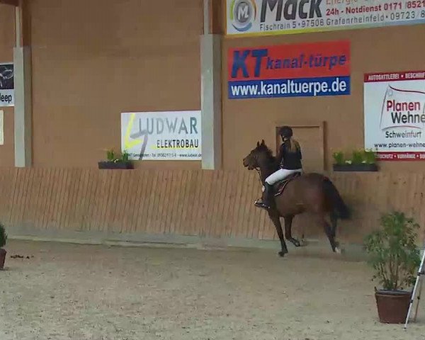 Reitturnier Grafenrheinfeld/Ufr. 2022