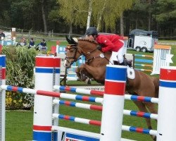 jumper Caspar 140 (German Riding Pony, 1999, from Churchill)