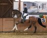 dressage horse Bijou 457 (Hanoverian, 2016, from Bon Coeur)