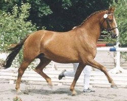 broodmare Wonja (Zweibrücken, 1986, from Woerth)