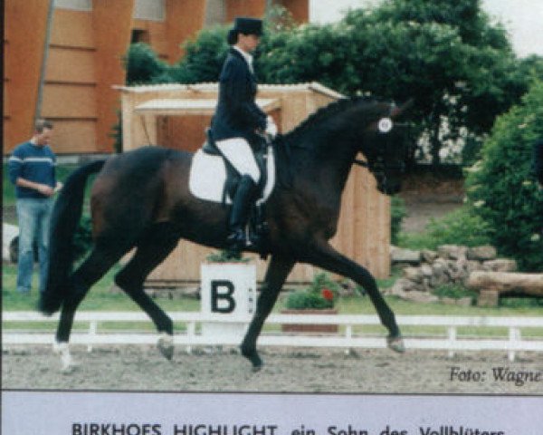 Pferd Highlight (Zweibrücker, 1999, von Heraldik xx)