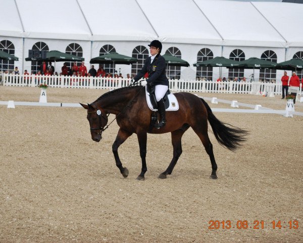 dressage horse Sambalu Salix (German Sport Horse, 2004, from Samba Hit I)