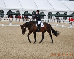 dressage horse Sambalu Salix (German Sport Horse, 2004, from Samba Hit I)