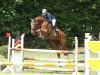 jumper Grace Kelly 105 (Oldenburg show jumper, 2004, from Griseldi)