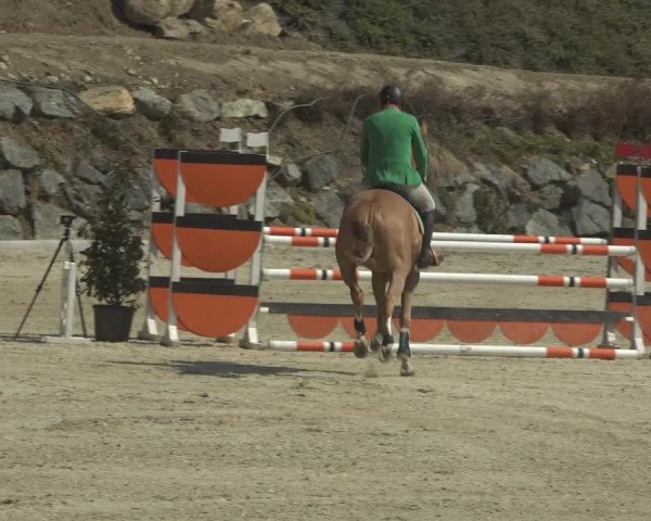 Reitturnier K, St. Margarethen-Stückler 2022