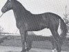 stallion Alcala (Holsteiner, 1962, from Aldato)