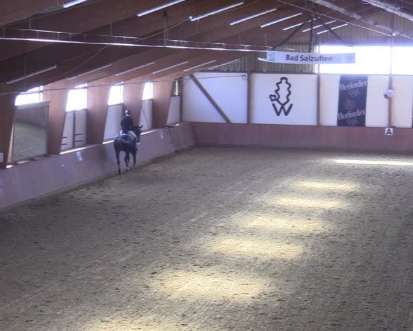 Reitturnier Bad Salzuflen 2022