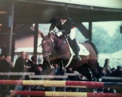 broodmare Natascha (German Riding Pony, 1993, from Top Navajo)