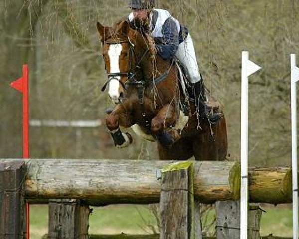 dressage horse Diva (Westphalian, 1999, from Delphi)