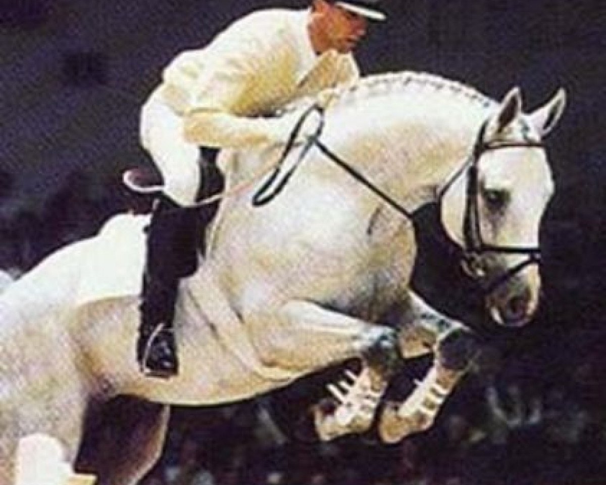 Deckhengst Foxhunter (Hannoveraner, 1987, von Watzmann)