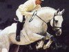 stallion Foxhunter (Hanoverian, 1987, from Watzmann)