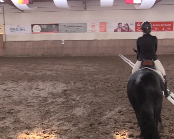 Reitturnier Bobersen 2022