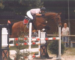 jumper Zanetti (Westphalian, 2000, from Zeus)