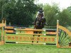 jumper Chocolate Coffee (Oldenburg show jumper, 2008, from Clintord)