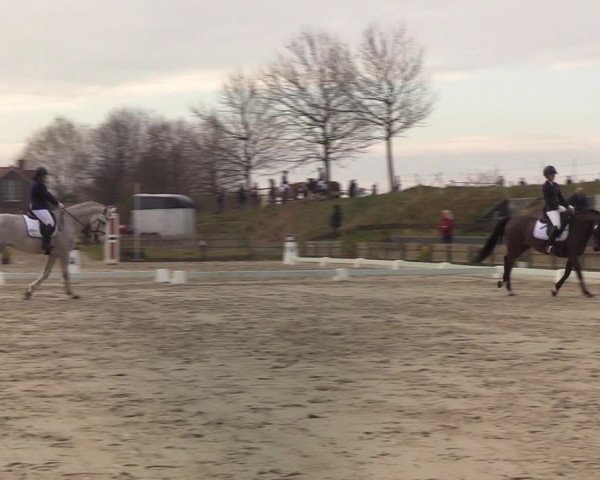 Reitturnier Schülp / Rendsburg 2022