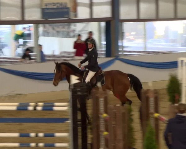 Reitturnier Buchs 2022